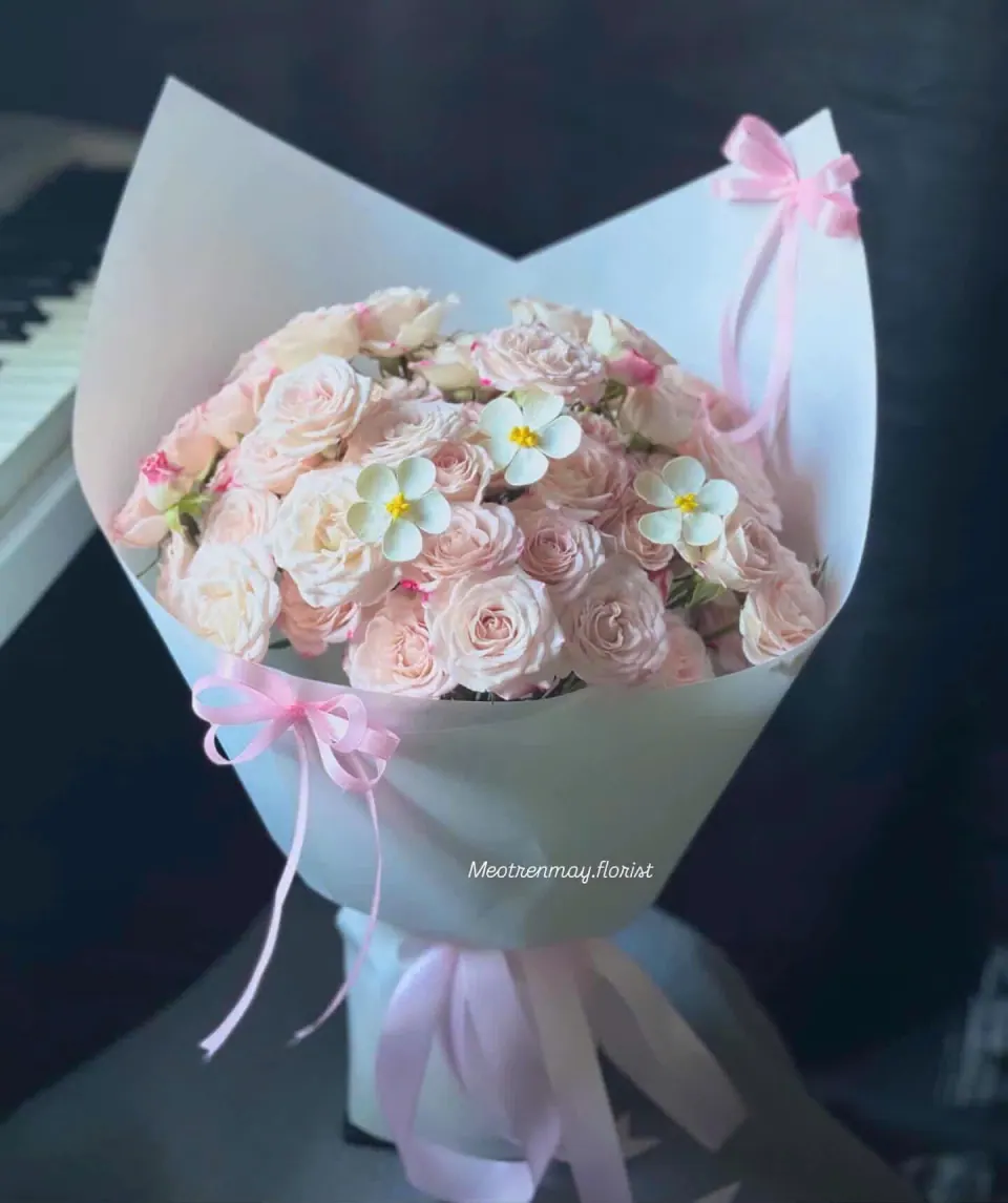 Hồng Phấn Dịu Êm của Mèo Trên Mây